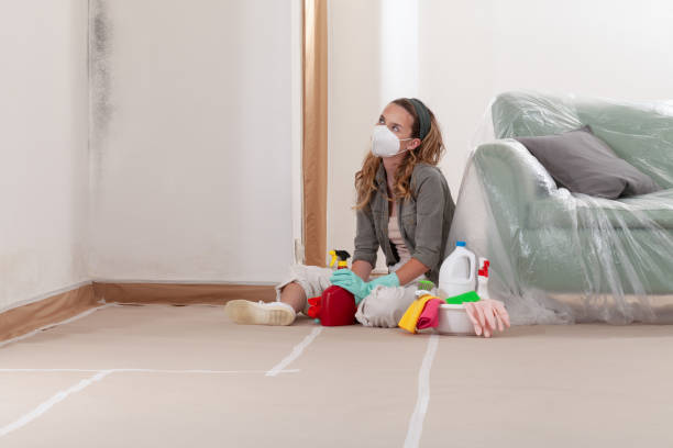 Reliable Bathroom Mold Removal contractor in Wilson, PA by WQB Mold Removal